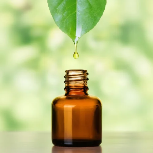 1tiempo-curacion-homeopatia-remedios-naturales