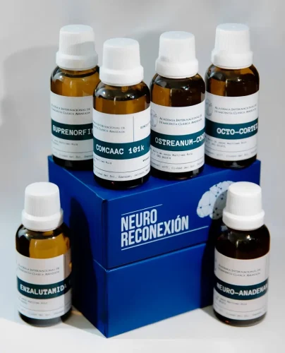 Imagen de WhatsApp 2024-11-11 a las 09.11.12_dfd97a9f